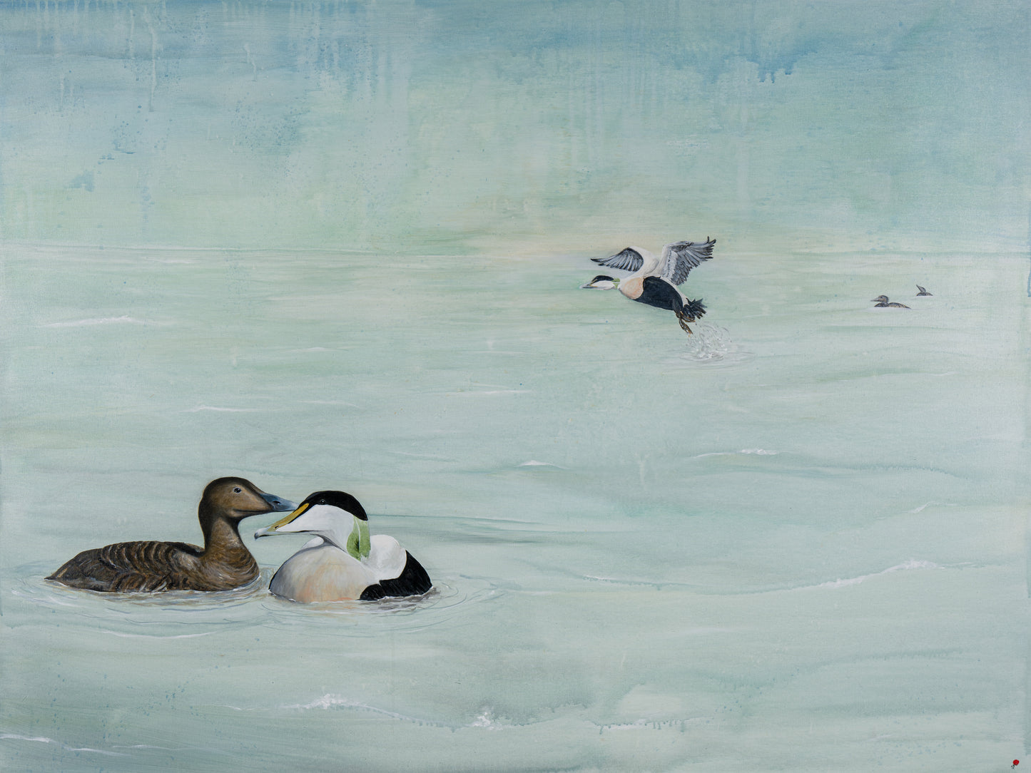 COMMON EIDERS | Original painting | Simone Freiheit
