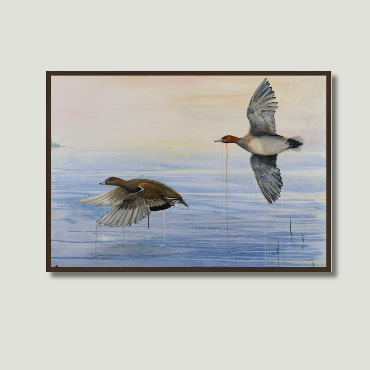 EURASIAN WIGEON | Fine Art Giclée Print