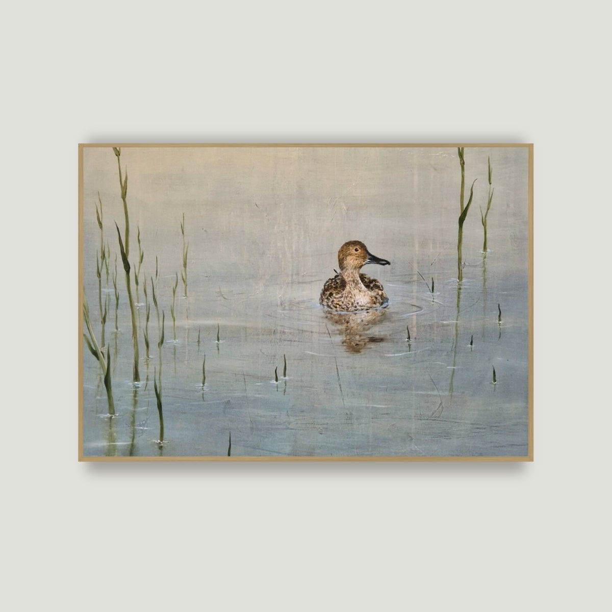 Northern Pintail | Fine Art Giclée print