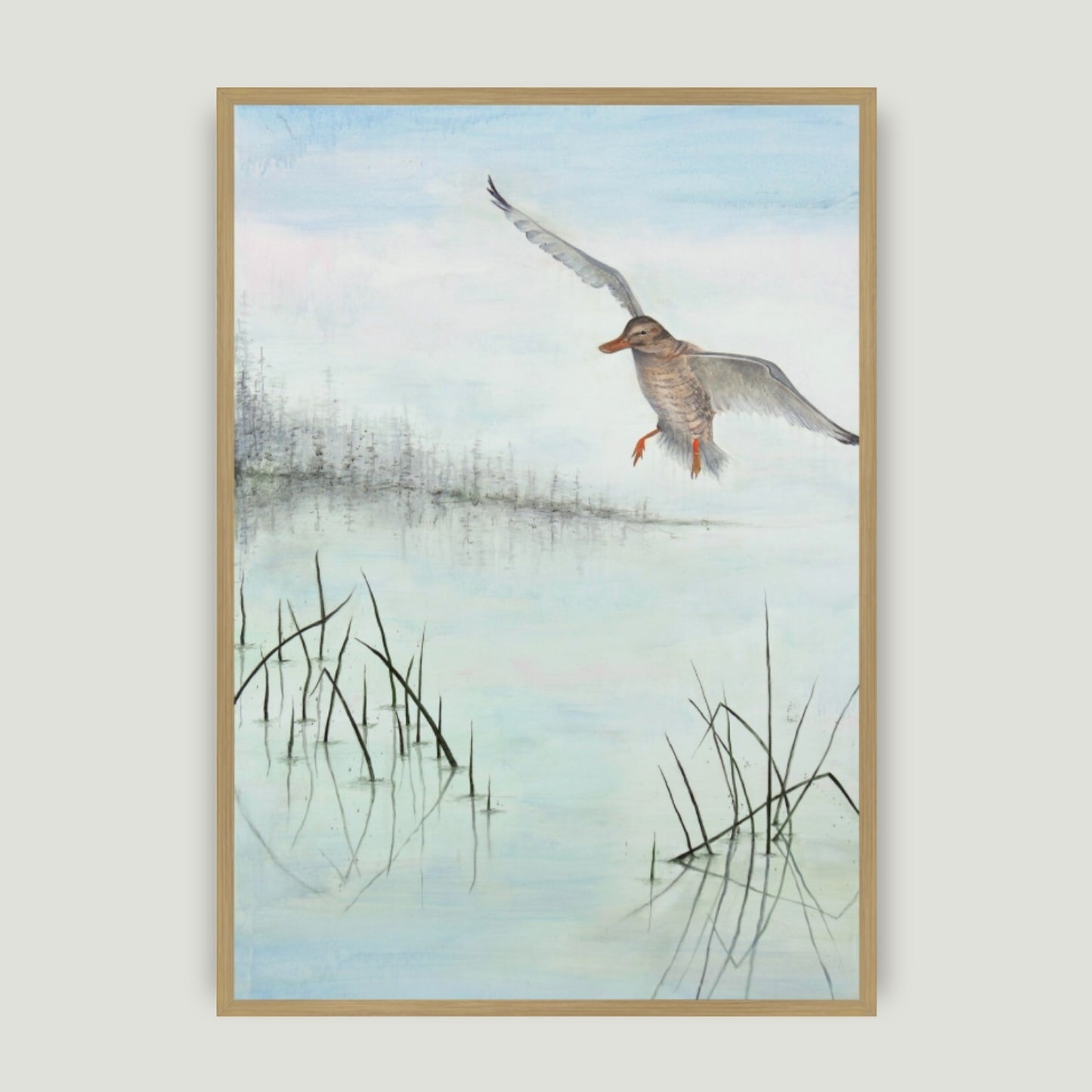 MALLARD | Fine Art Giclée print