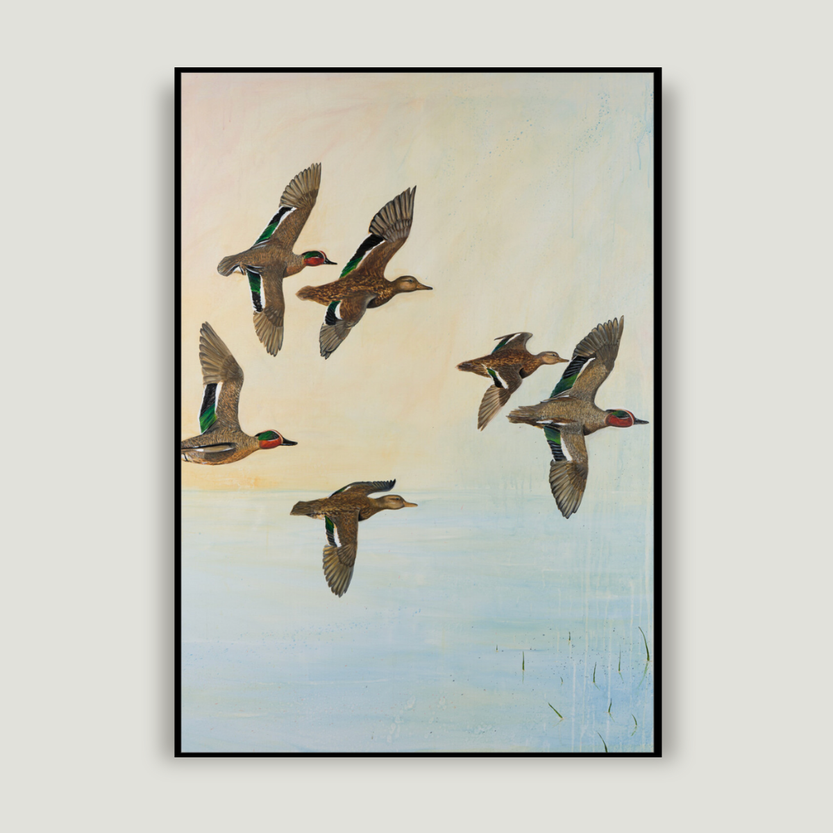 TEAL DUCK| Fine Art Giclée print