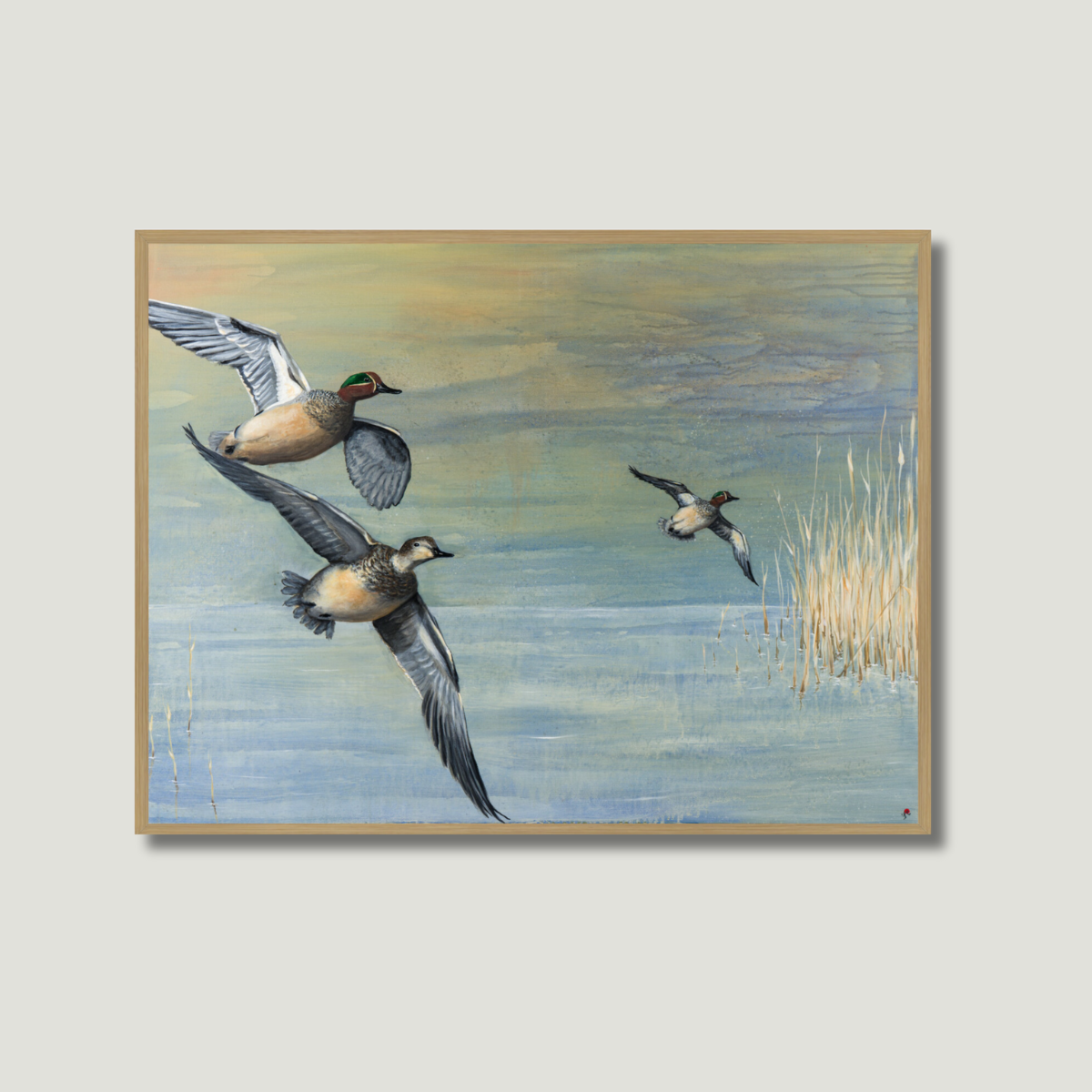 Flyvende Krikænder | Fine Art Giclée print