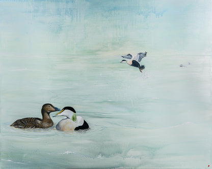 COMMON EIDERS | Original painting | Simone Freiheit