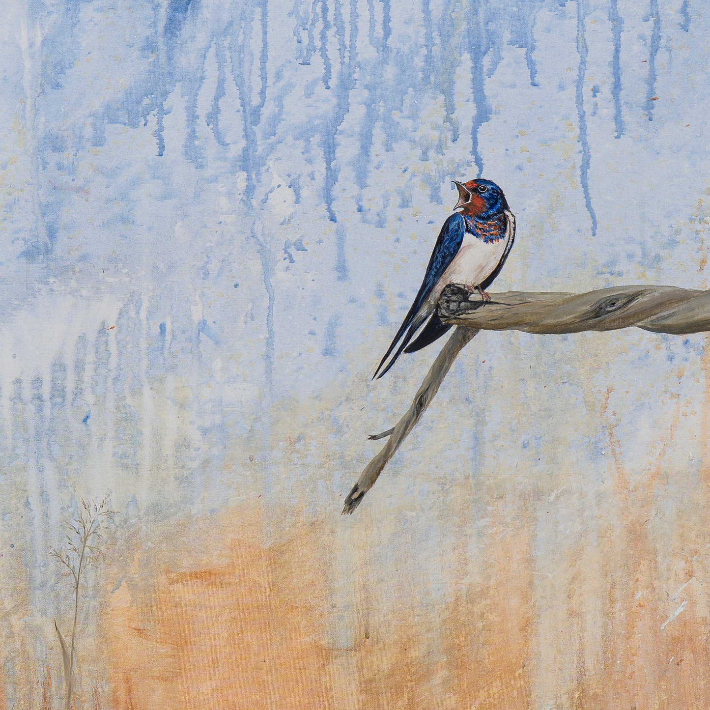 Landsvaler (Hirundo rustica) | Originalt maleri | Simone Freiheit