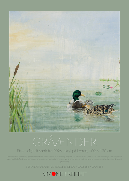 Kunstplakat Gråænder