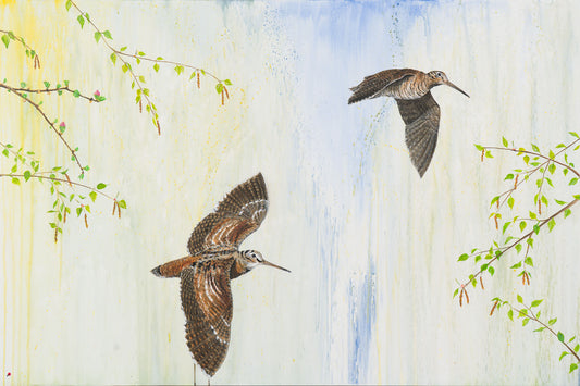 Forårssnepper (Scolopax rusticola) | Originalt maleri | Simone Freiheit