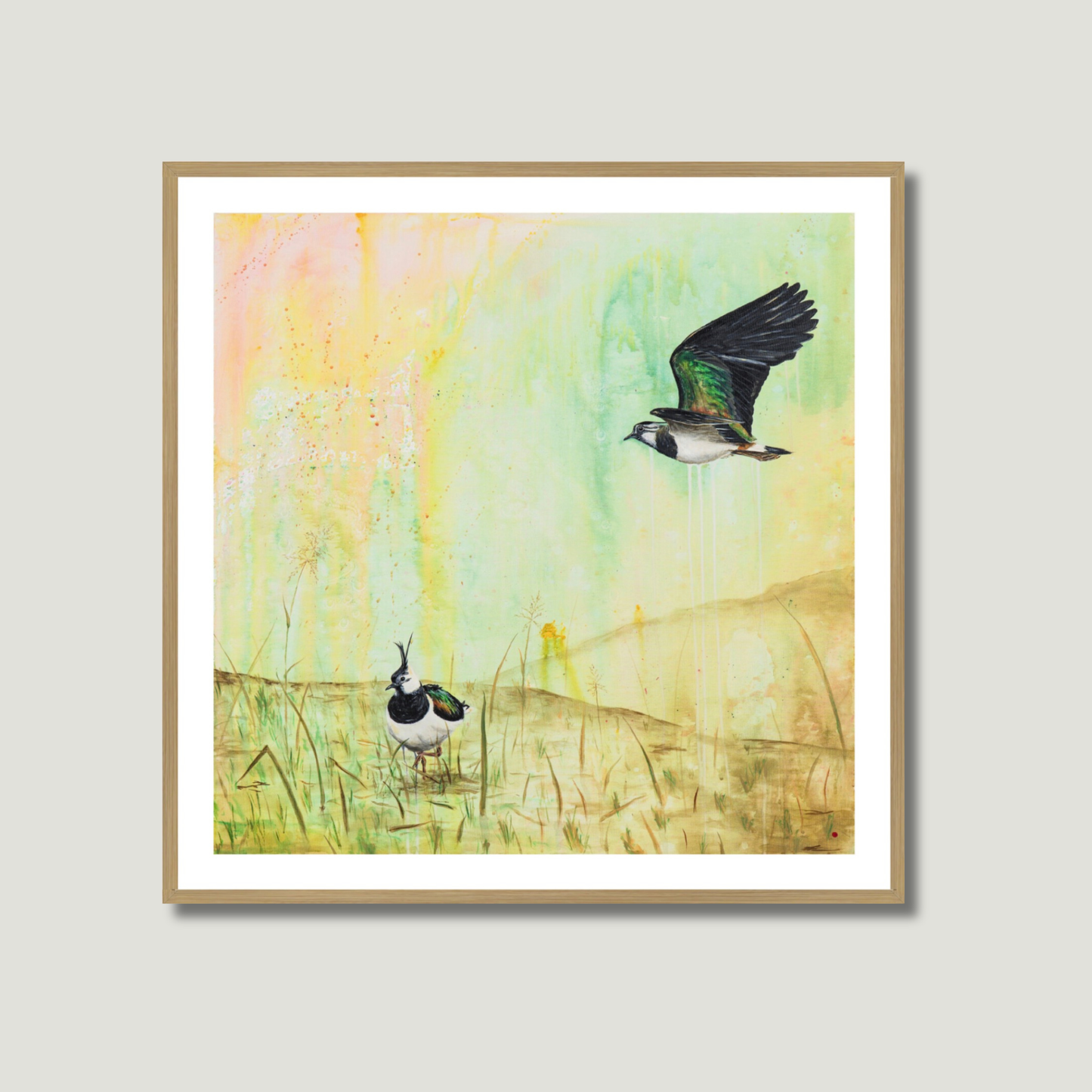 Viber (Vanellus vanellus) | Fine Art Giclée print