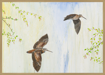 Forårssnepper – Limited Edition (1 af 30)