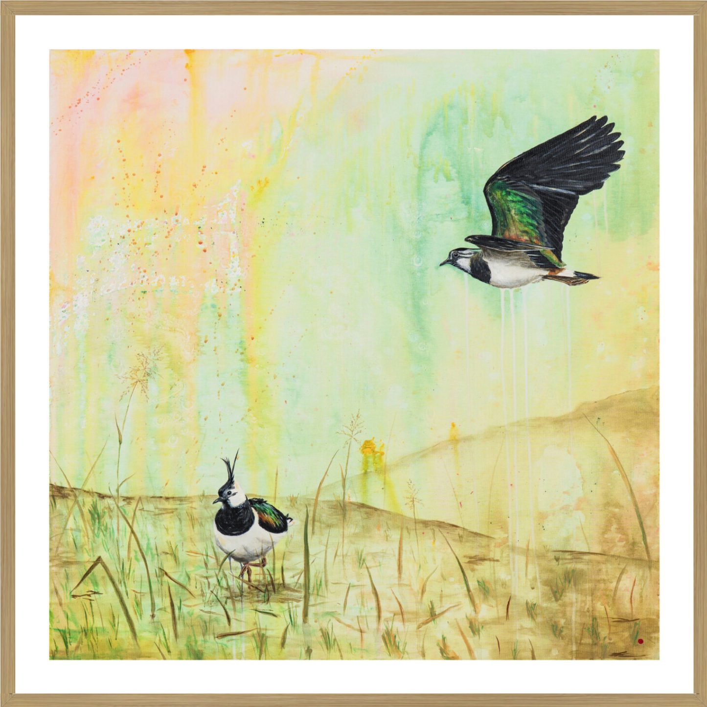 Viber (Vanellus vanellus) | Fine Art Giclée print