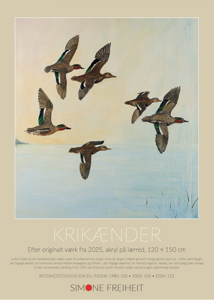 Kunstplakat Krikænder