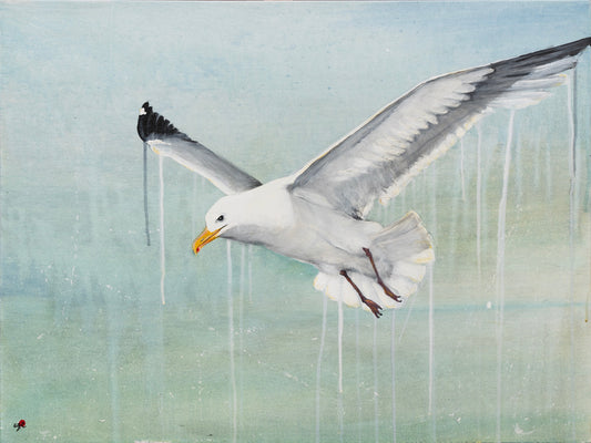 SØLVMÅGE (Larus argentatus) | Originalt maleri | Simone Freiheit