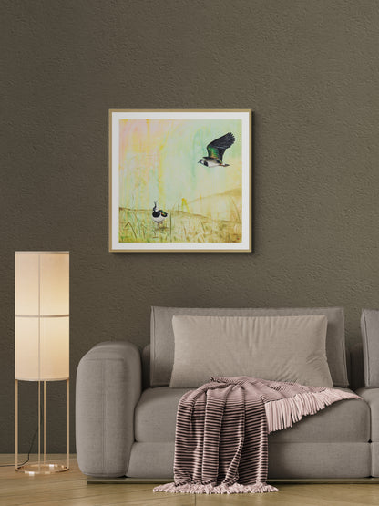 Viber (Vanellus vanellus) | Fine Art Giclée print