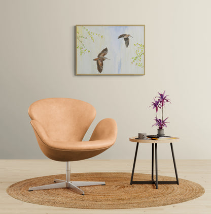 Forårssnepper – Limited Edition (1 af 30)