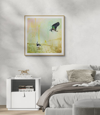 Viber (Vanellus vanellus) | Fine Art Giclée print