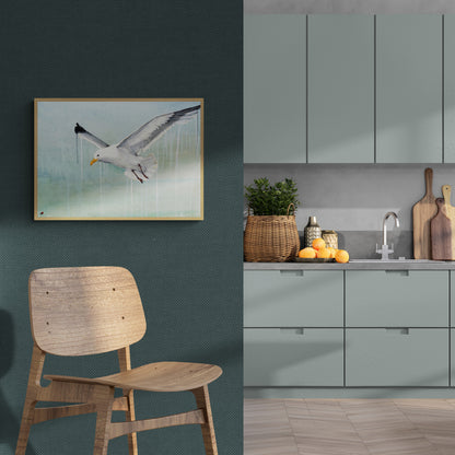 Sølvmåge | Fine Art Giclée print